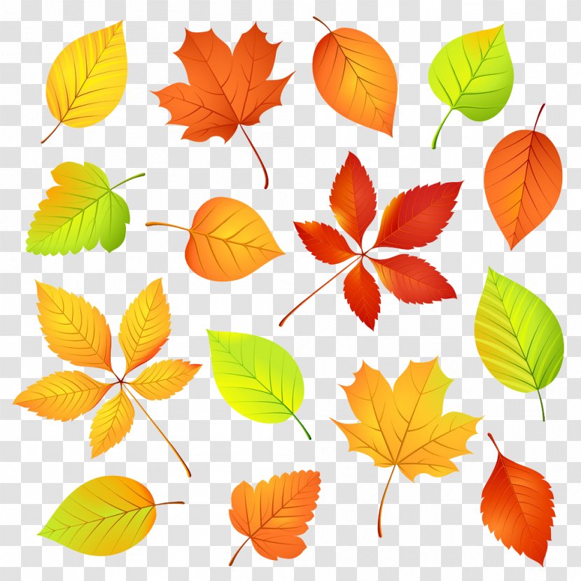 Autumn Leaf Color Maple - Watercolor Painting - Leaves Transparent PNG