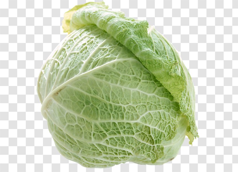 Cabbage Cruciferous Vegetables Food - Savoy Transparent PNG