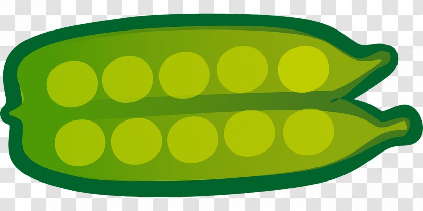 Vegetable Food Pea Fruit Clip Art - Oval Transparent PNG