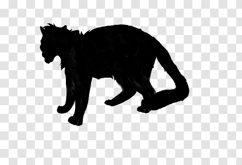 Black Cat Dog Mammal Canidae - Fur - Carnivore Transparent PNG