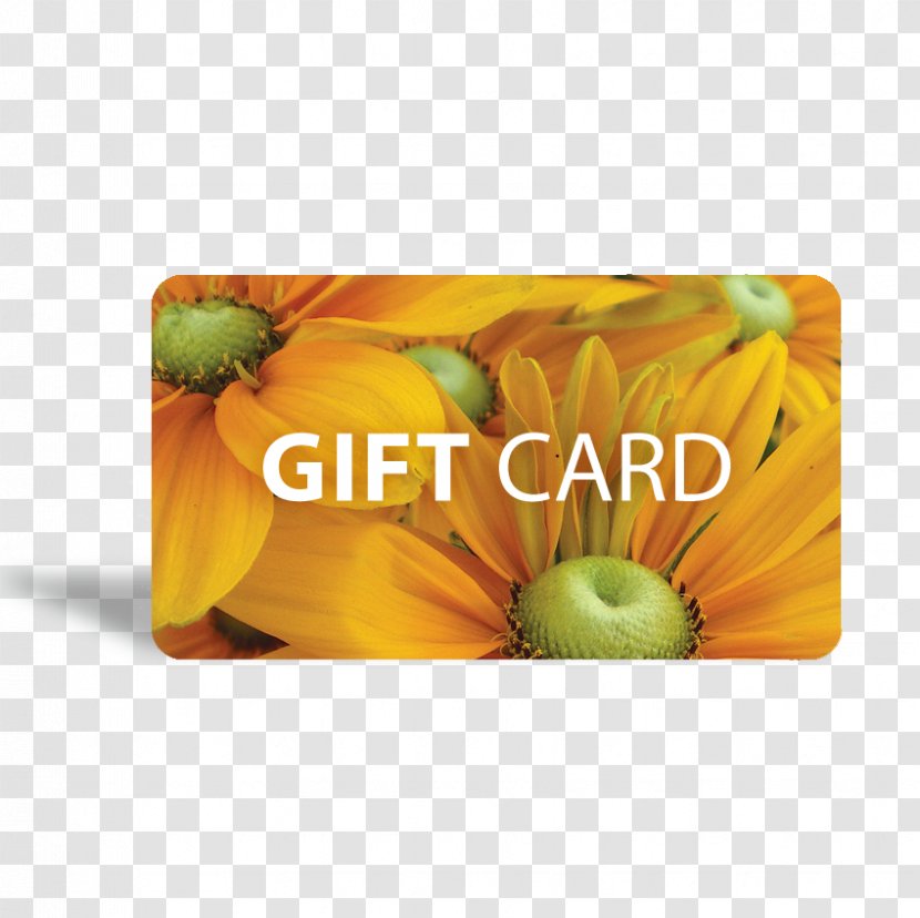 Gift Card Greeting & Note Cards Mother Nature - Love Transparent PNG