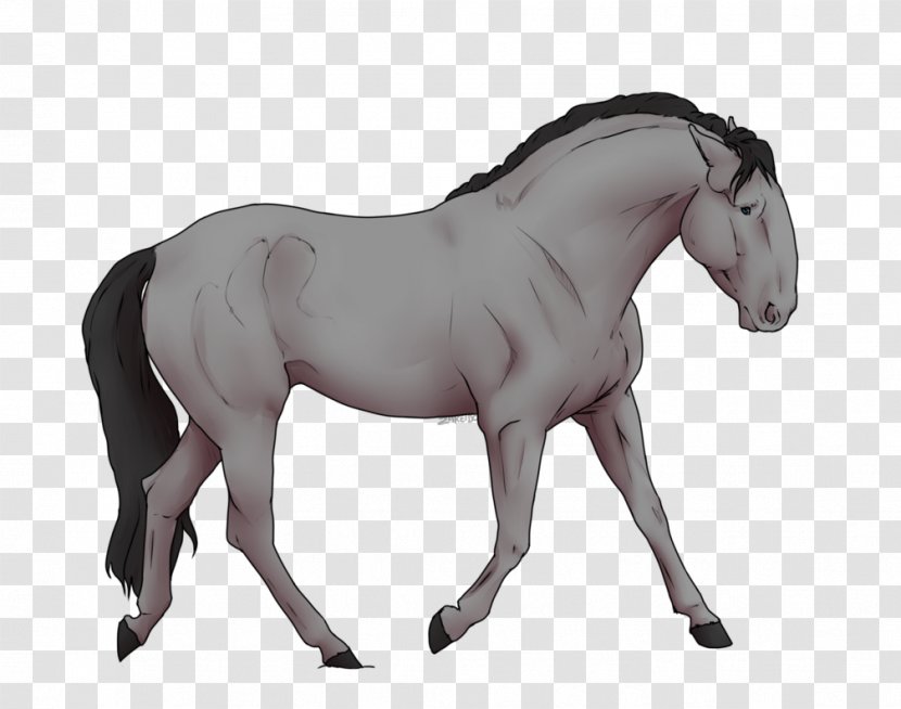 Mustang Mane Pony Mare Iberian Horse - Foal Transparent PNG