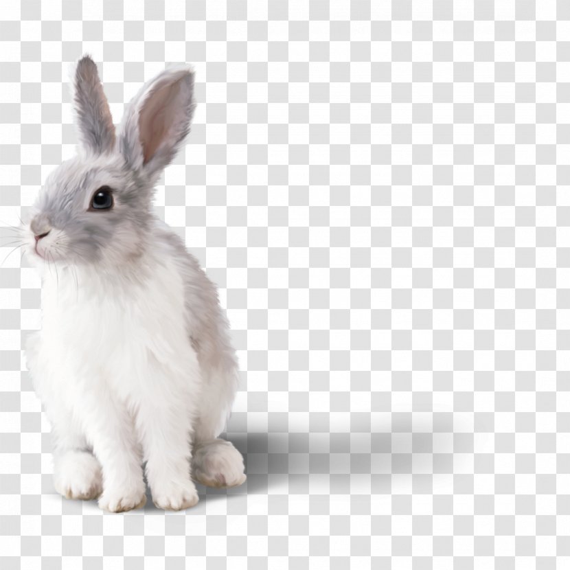 Desktop Wallpaper Hare Rabbit Internet Clip Art - Silhouette - Bunny Transparent PNG