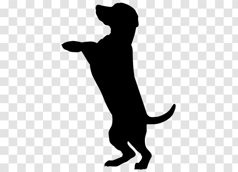 Dobermann Boxer Labrador Retriever Scotch Collie Clip Art - Cat Like Mammal - Silhouette Transparent PNG