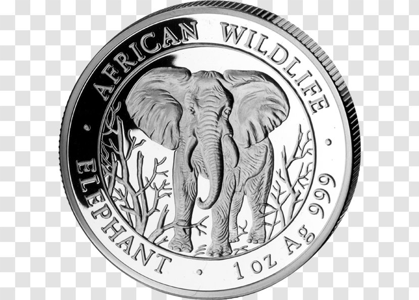 Coin Indian Elephant Silver African Somalia - Black And White Transparent PNG