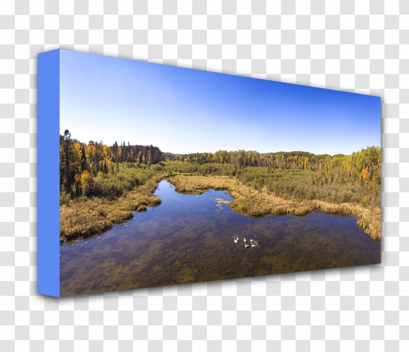 Inlet Rectangle Sky Plc - Sunflower Landscape Transparent PNG