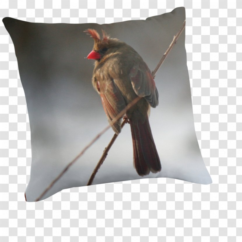 Throw Pillows Cushion Beak - Northern Cardinal Transparent PNG