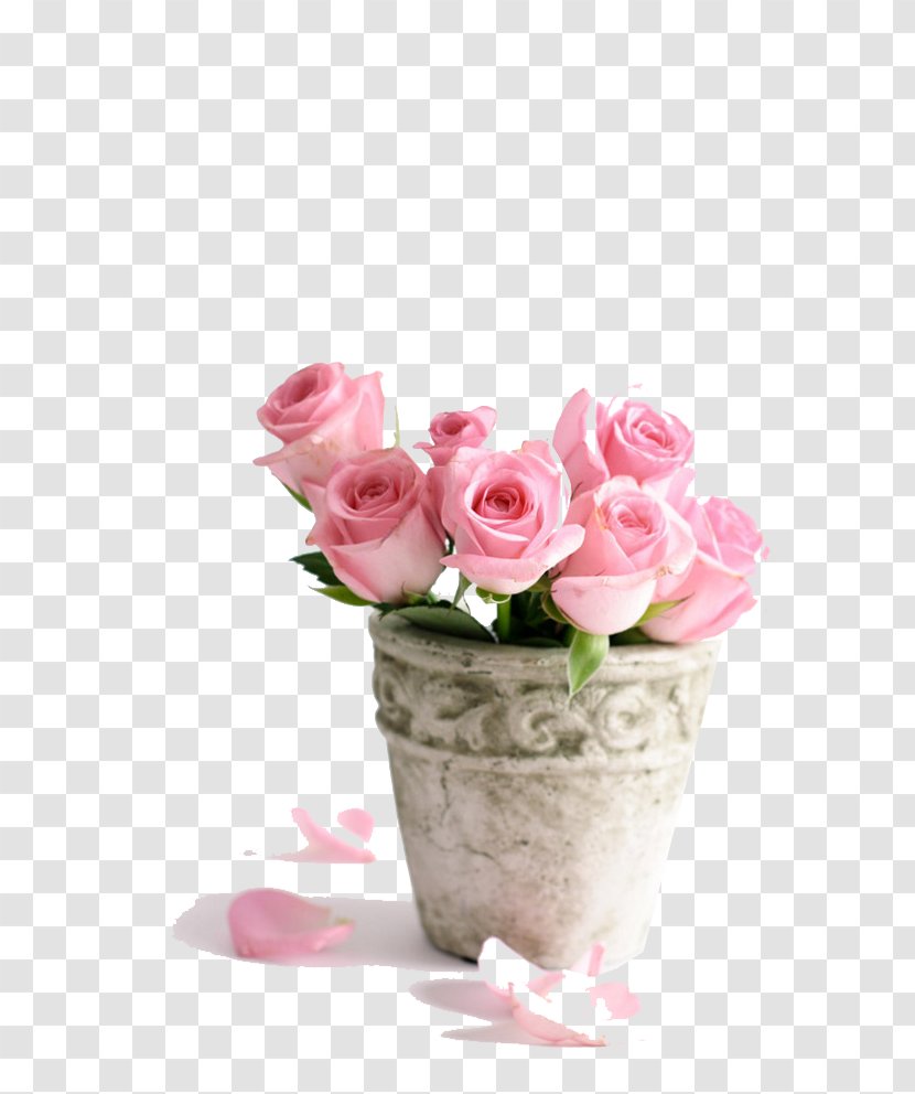 Birthday Cake Flower Happy To You Rose - Stock Photography - Pink Roses Transparent PNG