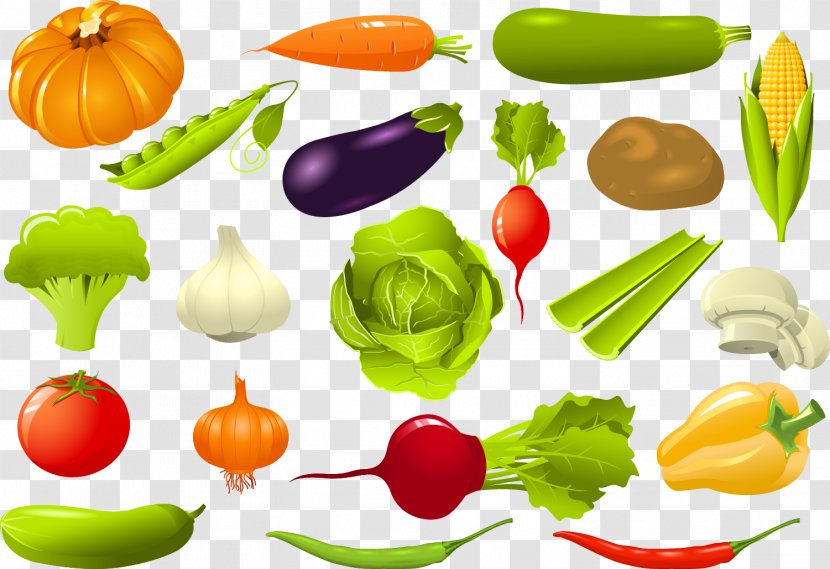 Leaf Vegetable Beetroot Clip Art - Royaltyfree - Map Vector Vegetables Transparent PNG