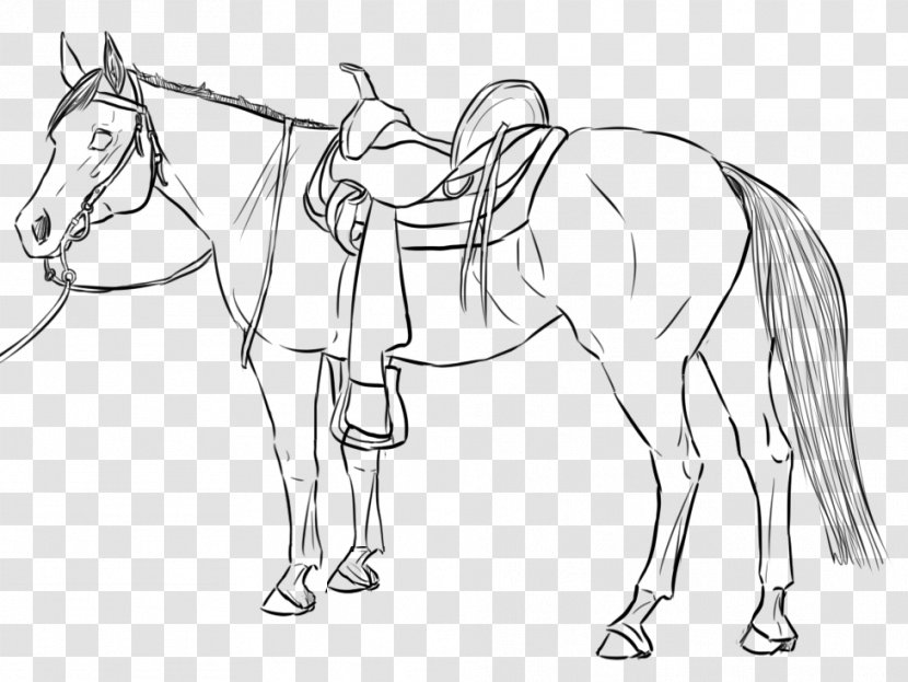 American Quarter Horse Paint Mustang Drawing Western Riding - Carriage Transparent PNG