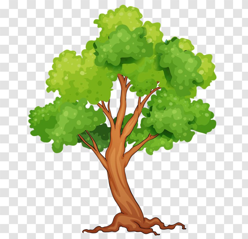 Tropical Rainforest Tree Clip Art Transparent PNG