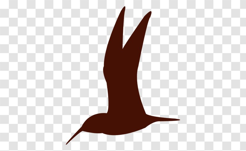 Silhouette Hummingbird - Logo Transparent PNG