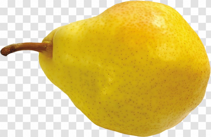 Citron Lemon Tangelo Citrus Junos - Fruit - Pear Image Transparent PNG