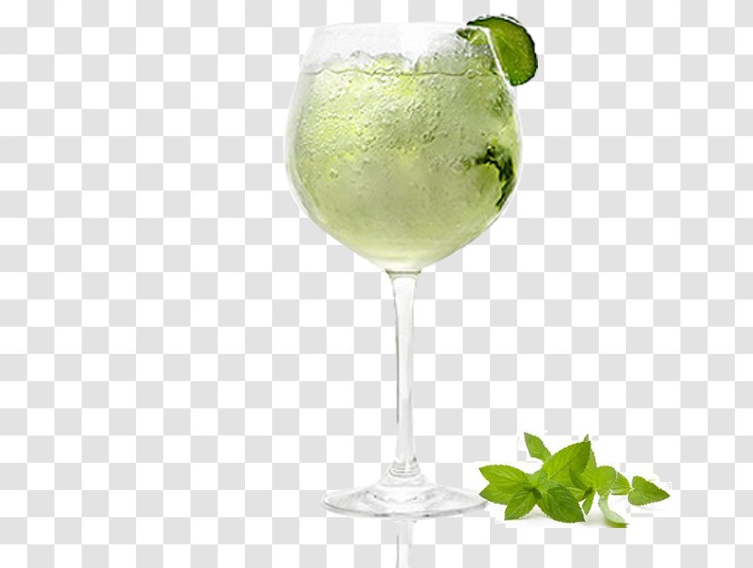 Cocktail Garnish Gin And Tonic Rickey Mojito - Champagne Transparent PNG