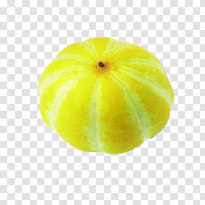 Korean Melon Citron - Vegetable - Muskmelon Transparent PNG