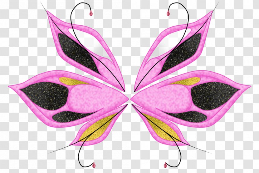 Butterfly Symmetry Pattern - Insect Transparent PNG