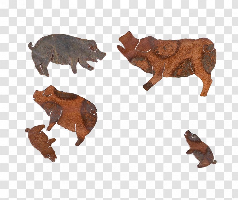 Wildlife Terrestrial Animal Snout Carnivora - Carnivoran - Rusty Metal Transparent PNG