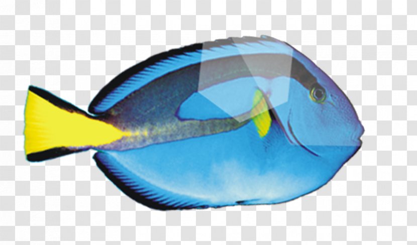 Deep Sea Fish Peces De Mar - Seabed - Cartoon Blue Transparent PNG