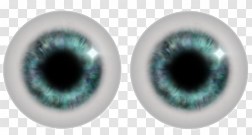 Iris Human Eye - Silhouette Transparent PNG
