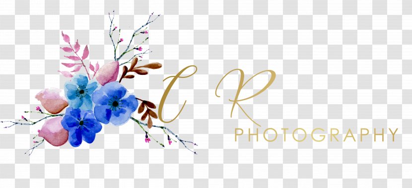Floral Design Photography Graphic Designer - Petal - Party Transparent PNG