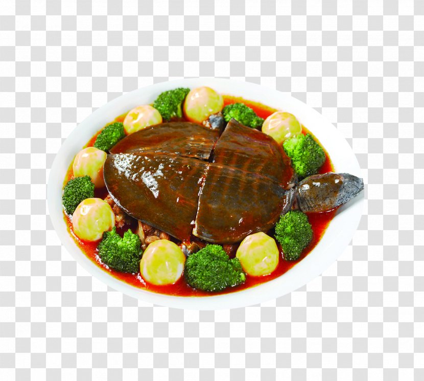 Nutrient Chinese Softshell Turtle Food Nutrition Soup - Eating - Braised Transparent PNG