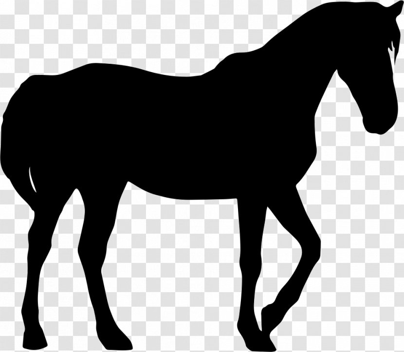 Arabian Horse Mustang Standing Riding Pony Transparent PNG