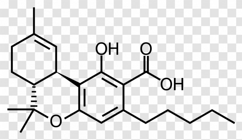 Tetrahydrocannabinolic Acid Cannabinoid Cannabigerol Cannabis - Text Transparent PNG