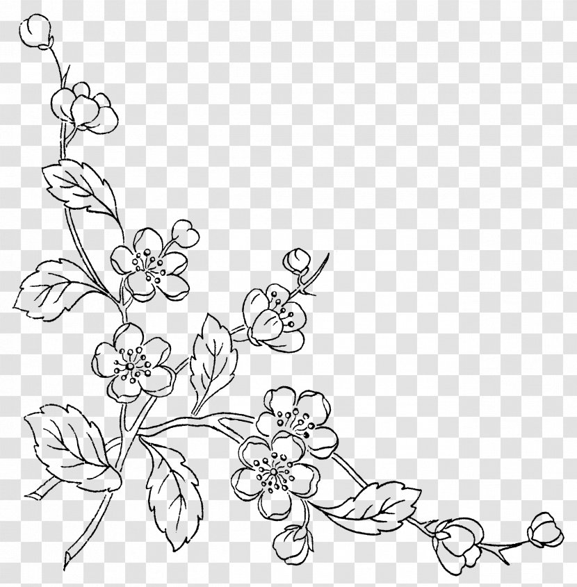 Sketch Of Flowers - White - Petal Transparent PNG