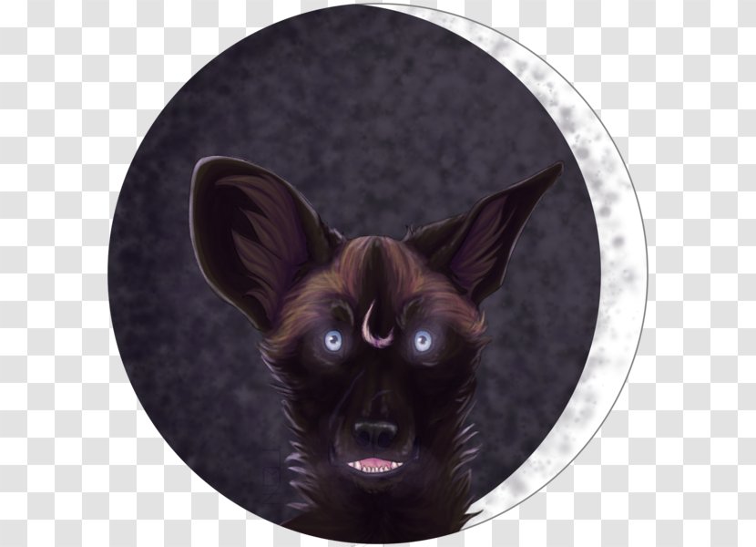 Dog Breed Whiskers Black Cat - Snout Transparent PNG