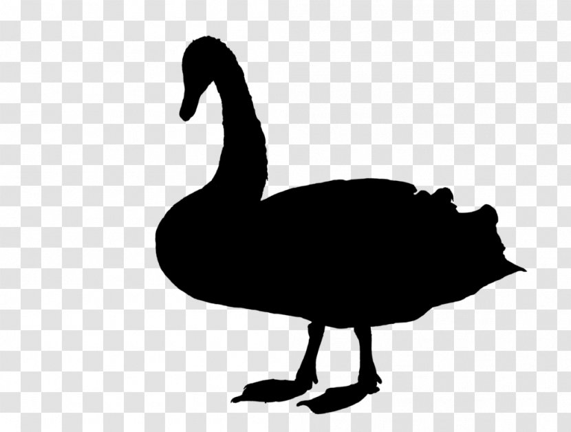 Duck Goose Swans Fowl Clip Art - Canada Transparent PNG