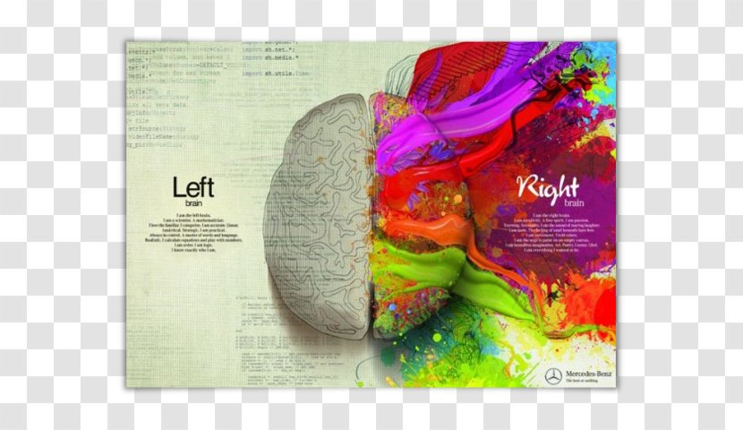 Lateralization Of Brain Function Pocket Guide To Interpersonal Neurobiology: An Integrative Handbook The Mind (Norton Series On Neurobiology) Color Human - Heart - Left And Right Transparent PNG