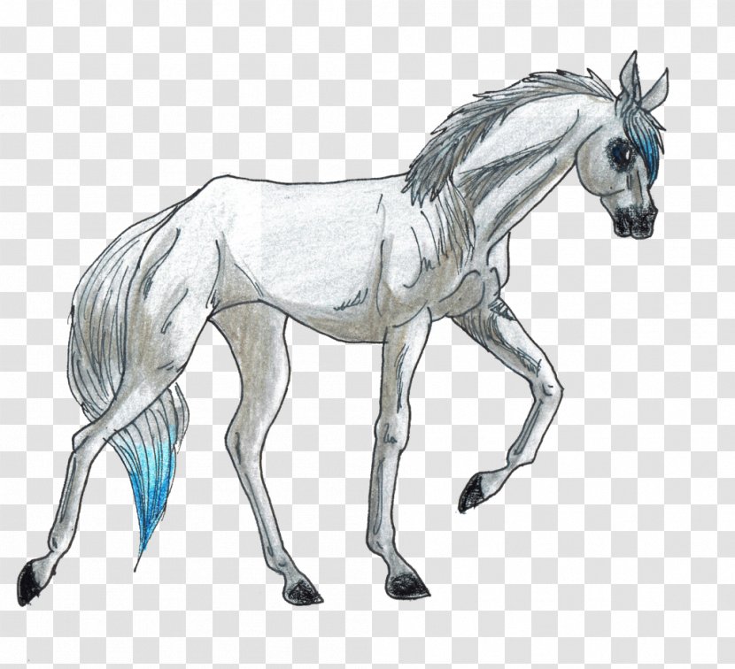 Stallion Pony Mustang Foal Art - Fauna Transparent PNG