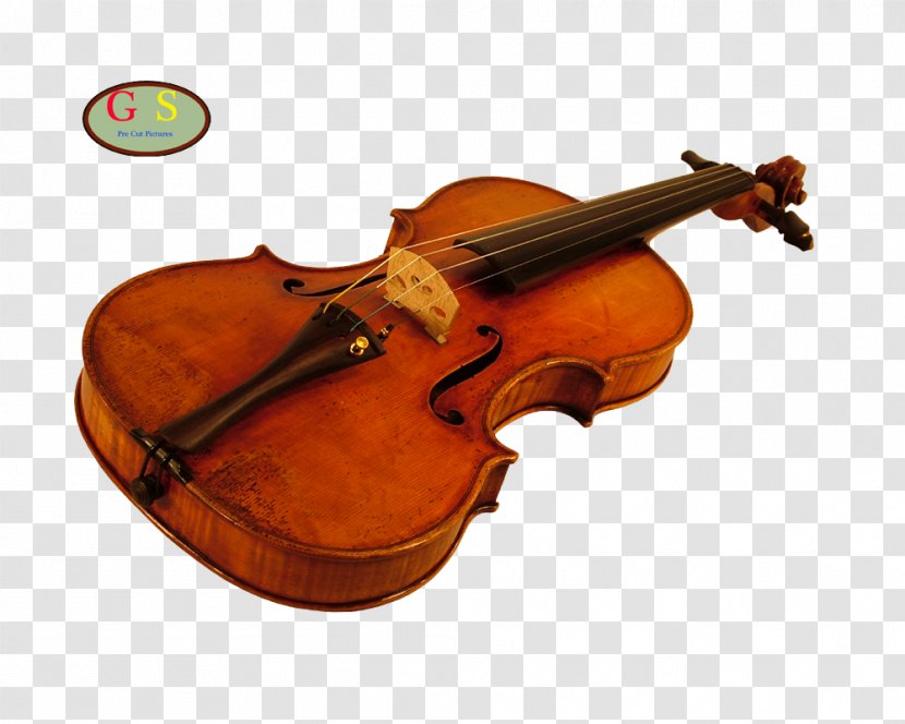 Bass Violin Viola Violone Cello - Double Transparent PNG