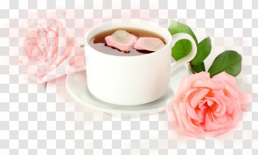 Bubble Tea Coffee Flowering Herbal - Whipped Cream Transparent PNG