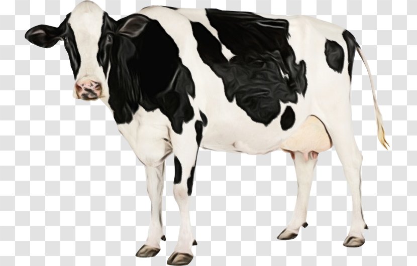 Watercolor Animal - Milk Blackandwhite Transparent PNG