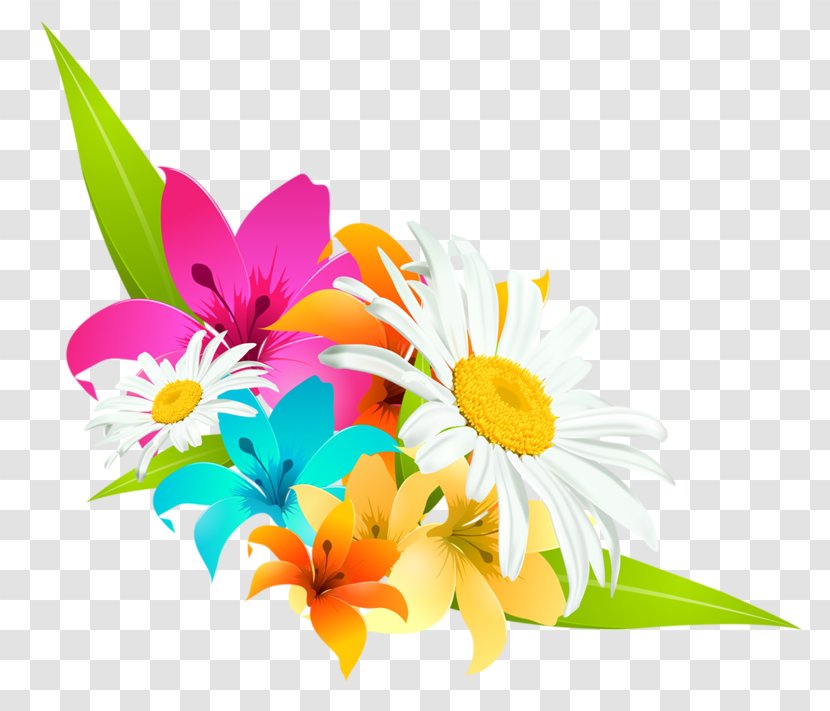 Flower Drawing - Woman Transparent PNG