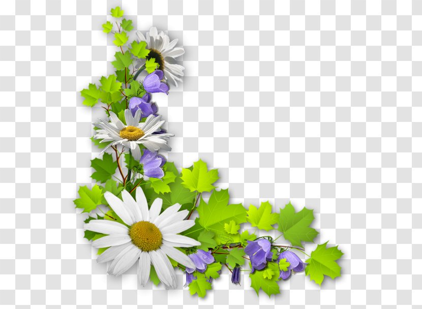 Clip Art Common Daisy Ornament GIF - Floral Design - Bellis Caerulescens Transparent PNG