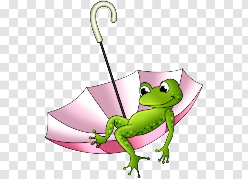 Frog Drawing Clip Art - Desert Rain Transparent PNG