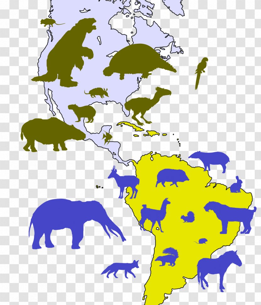 United States Isthmus Of Panama Great American Interchange Pliocene Central Seaway - Tree - Geography Cliparts Transparent PNG