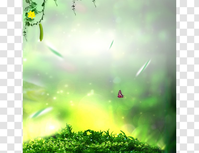 Taobao Cream Tmall - Biome - Grassland Butterfly Jungle Transparent PNG