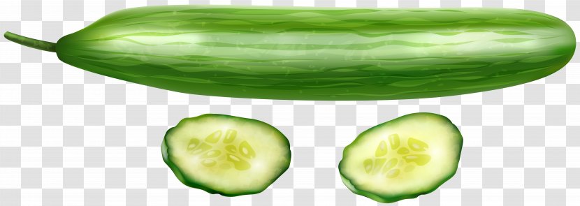 Pickled Cucumber Vegetable Clip Art - Gourd Transparent PNG