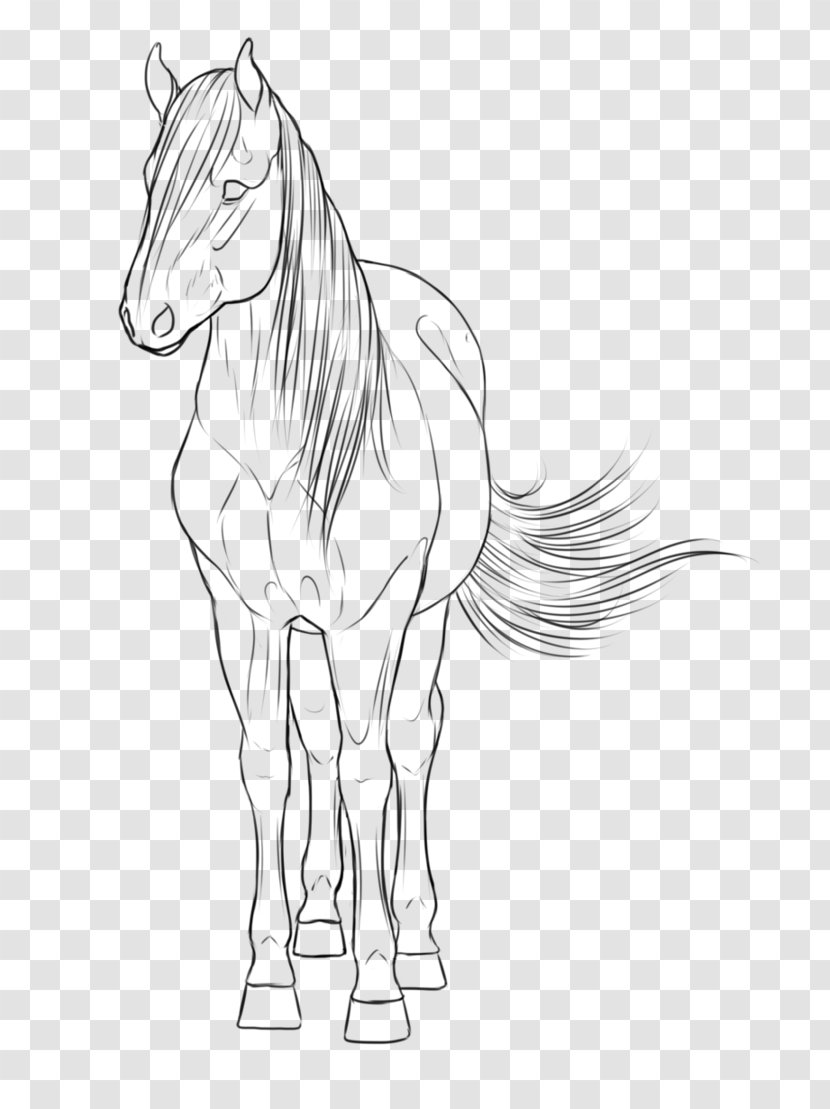 Mane Pony Mustang Stallion Sketch - Bridle Transparent PNG