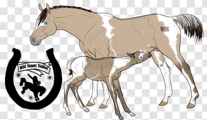 Mustang Foal Stallion Colt Mare - Horse Harnesses - Mother And Boy Transparent PNG