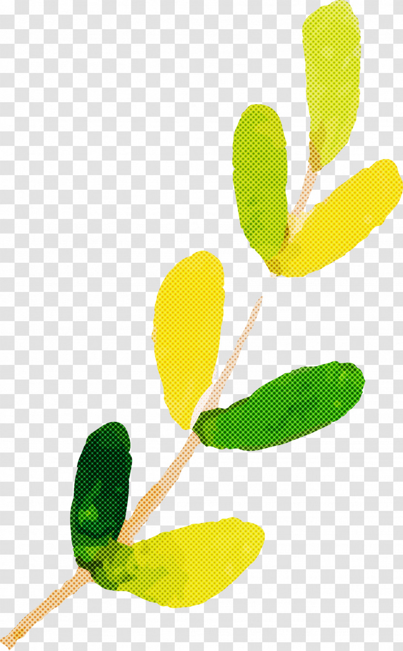 Leaf Plant Stem Yellow Flower Plants Transparent PNG