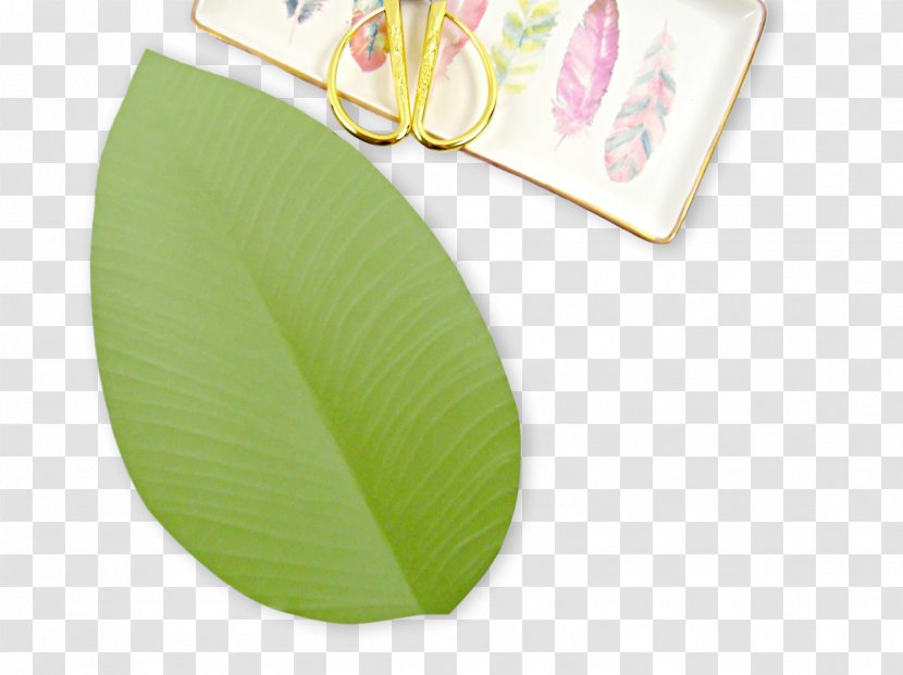 Paper Leaf Flower Worksheet Petal - Green - Pattern Shading Transparent PNG
