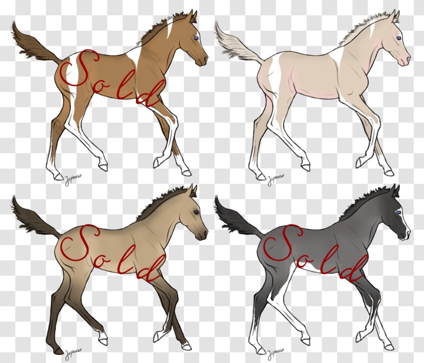 Mule Foal Mustang Mare Stallion - Mammal - Red Splash Horse Transparent PNG