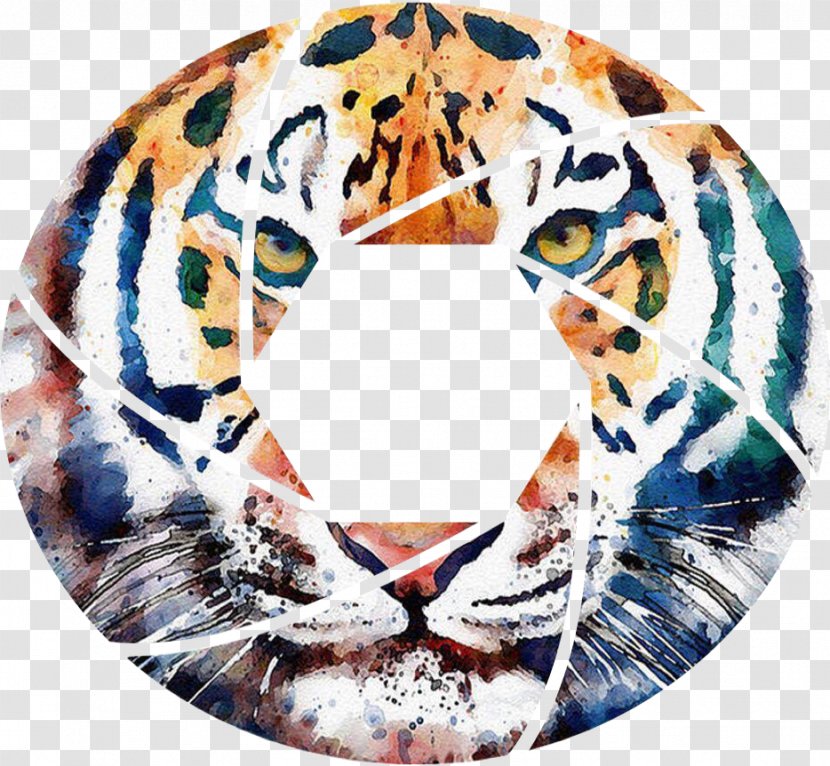 Tiger Watercolor Painting Art - Photo Box Transparent PNG