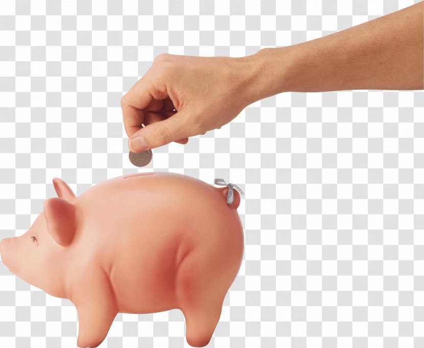 Coin Image File Formats - Pig Transparent PNG