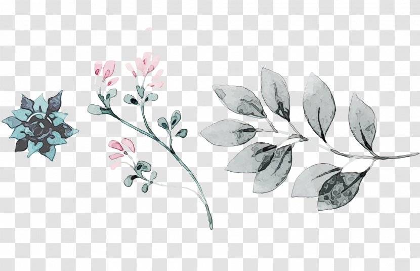Watercolor Floral Background - Painting - Magnolia Family Ixia Transparent PNG
