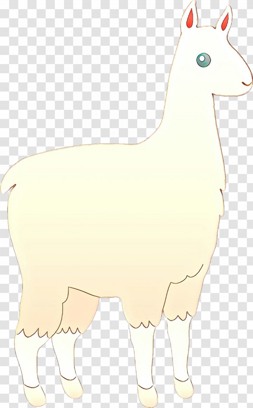 Sheep Llama Horse Cattle Mammal - Fauna - Vertebrate Transparent PNG